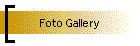 Foto Gallery
